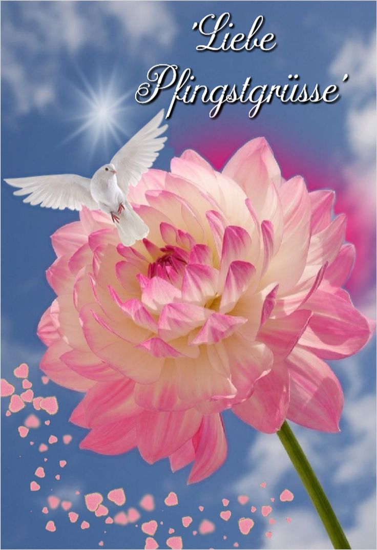 Pfingsten Bilder Kostenlos 125