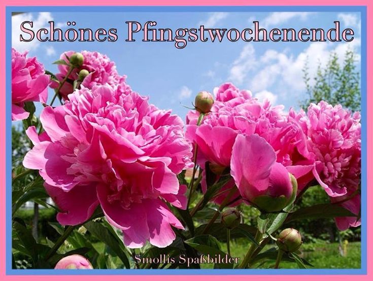 Pfingsten Bilder Kostenlos 134
