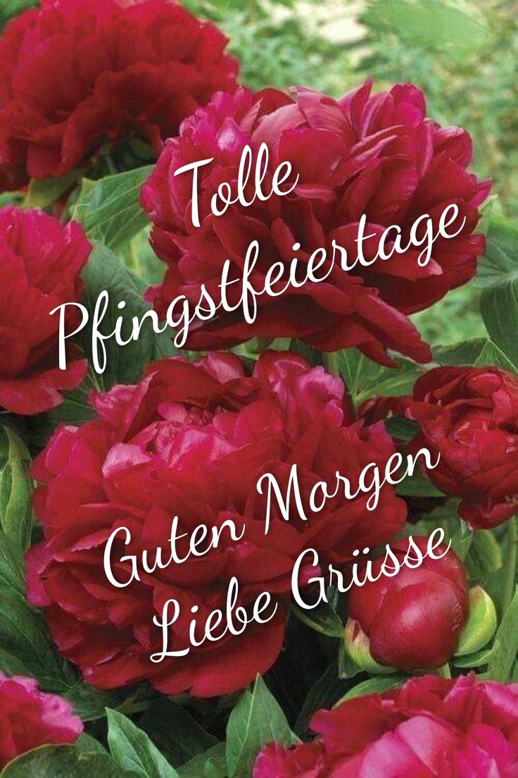 Pfingsten Bilder Kostenlos 139