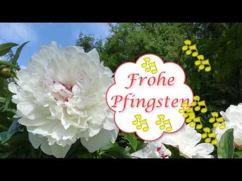 Pfingsten Bilder Kostenlos 14