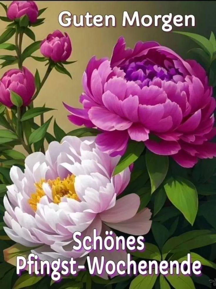 Pfingsten Bilder Kostenlos 140