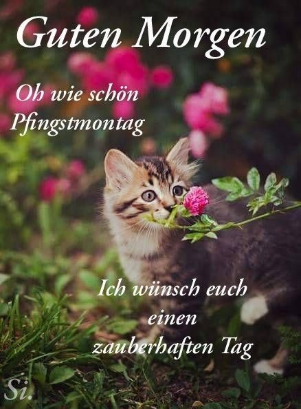 Pfingsten Bilder Kostenlos 146