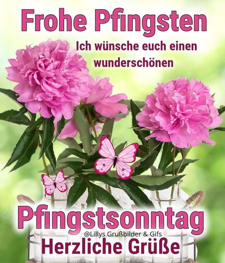 Pfingsten Bilder Kostenlos 147