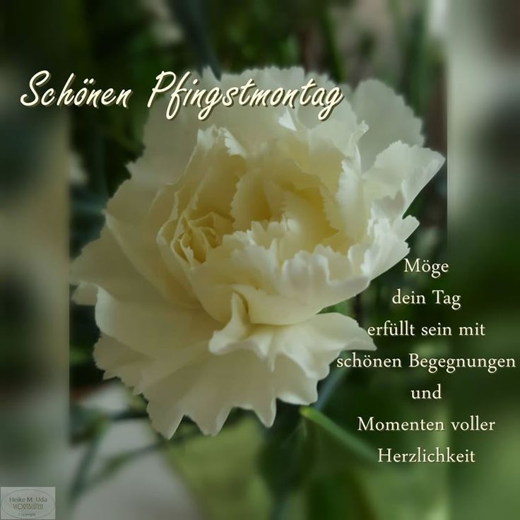 Pfingsten Bilder Kostenlos 24