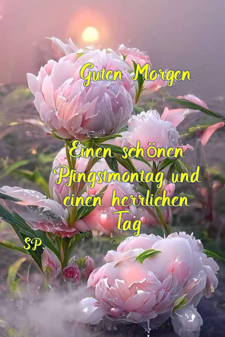 Pfingsten Bilder Kostenlos 29