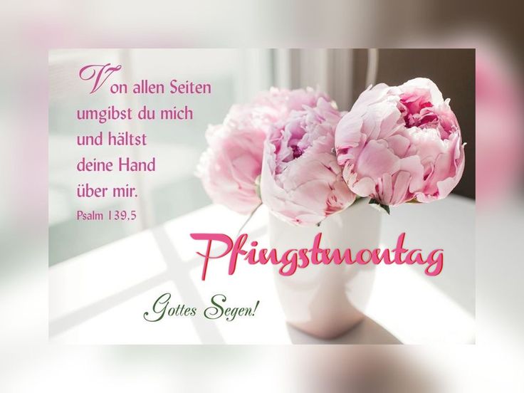 Pfingsten Bilder Kostenlos 31