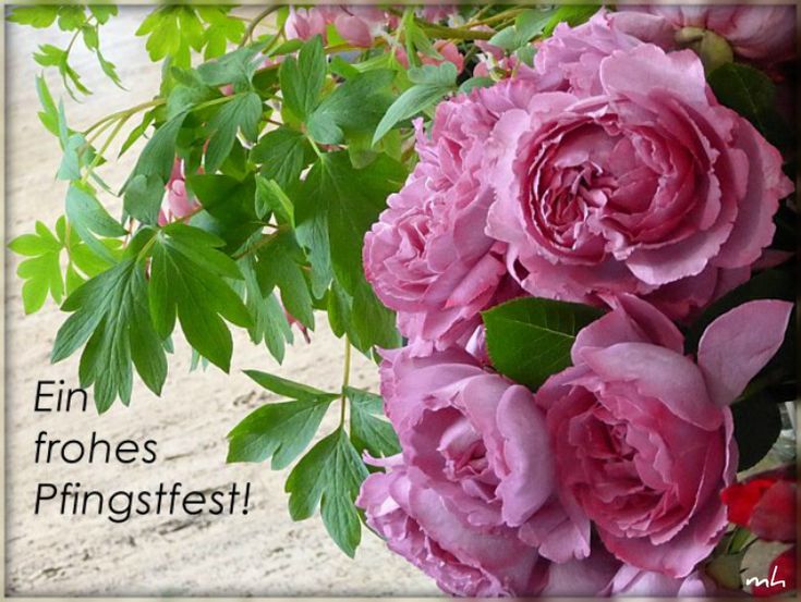 Pfingsten Bilder Kostenlos 33