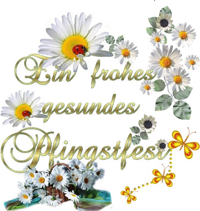 Pfingsten Bilder Kostenlos 42