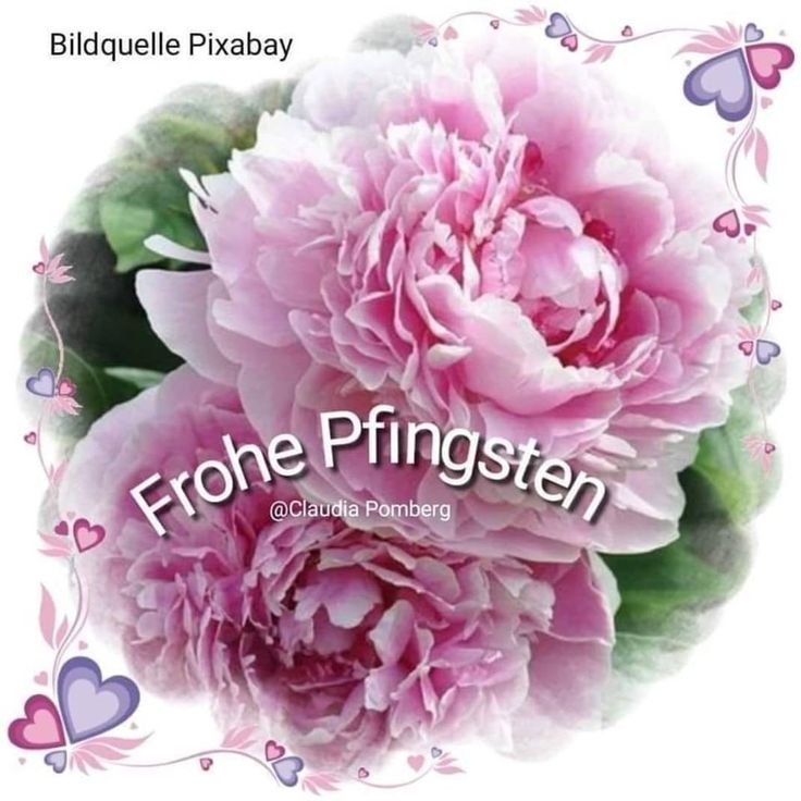 Pfingsten Bilder Kostenlos 44
