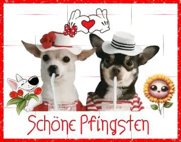 Pfingsten Bilder Kostenlos 6