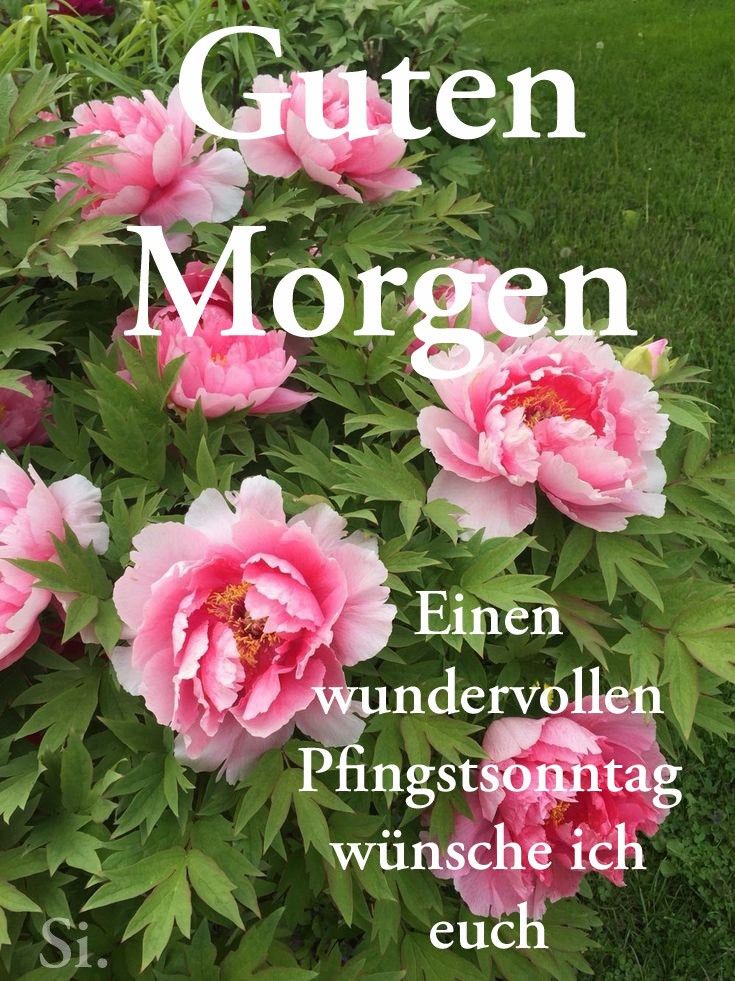 Pfingsten Bilder Kostenlos 71