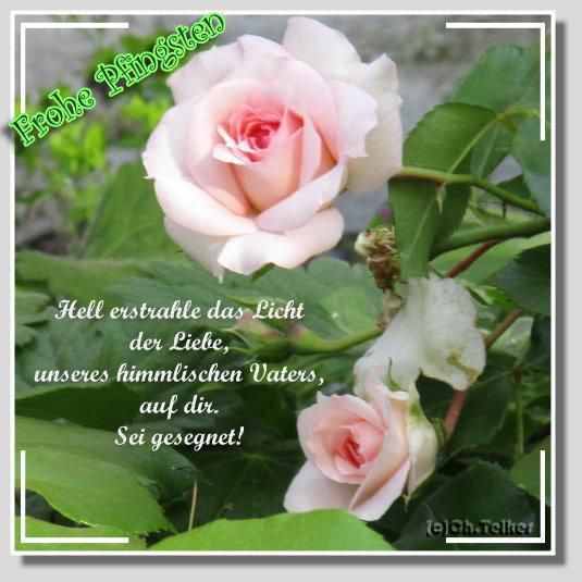 Pfingsten Bilder Kostenlos 74
