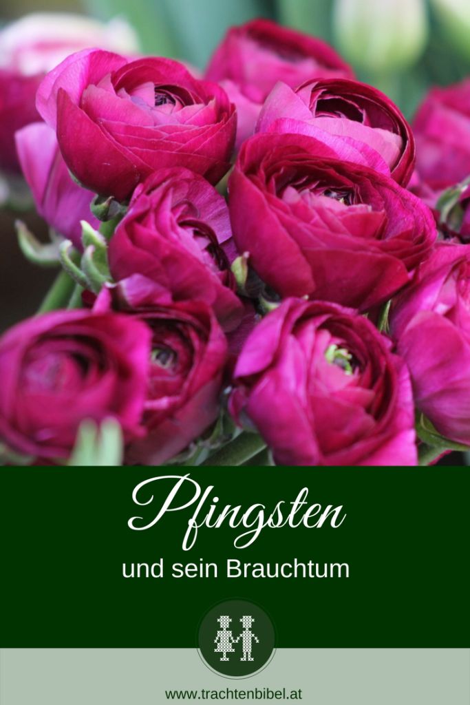 Pfingsten Bilder Kostenlos 75