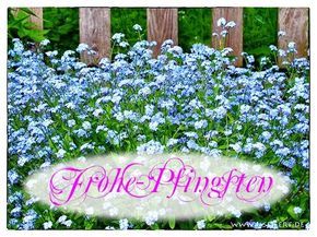 Pfingsten Bilder Kostenlos 83