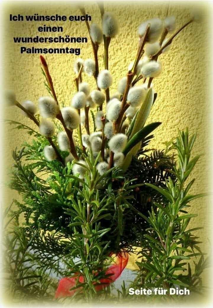 Pfingsten Bilder Kostenlos 84