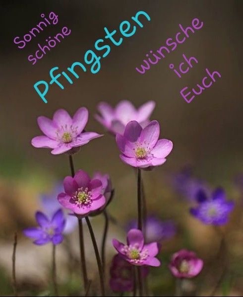Pfingsten Bilder Kostenlos 86
