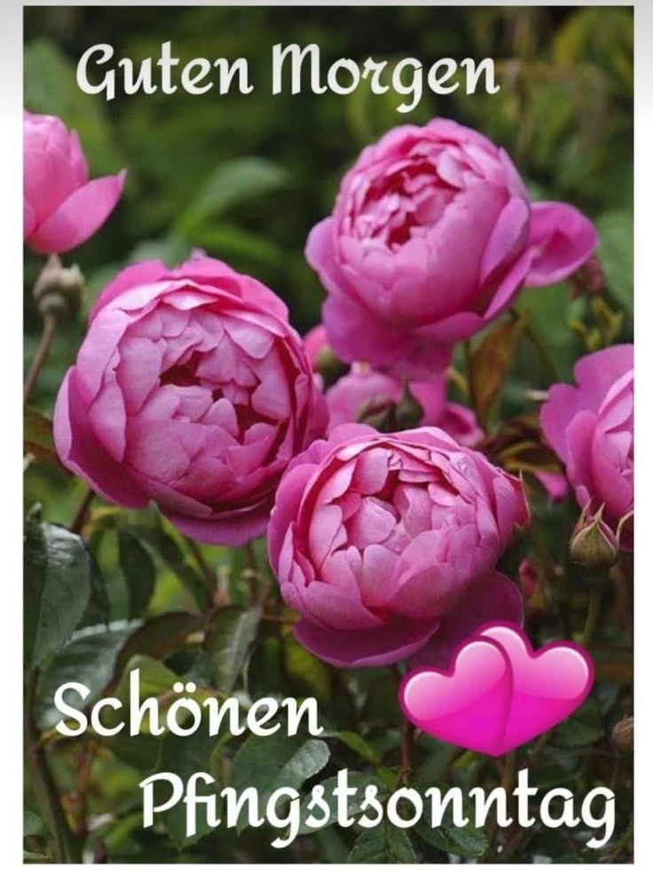 Pfingsten Bilder Kostenlos 91