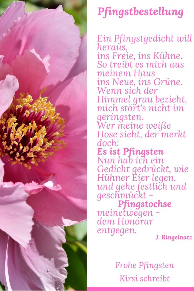 Pfingsten Bilder Kostenlos 93