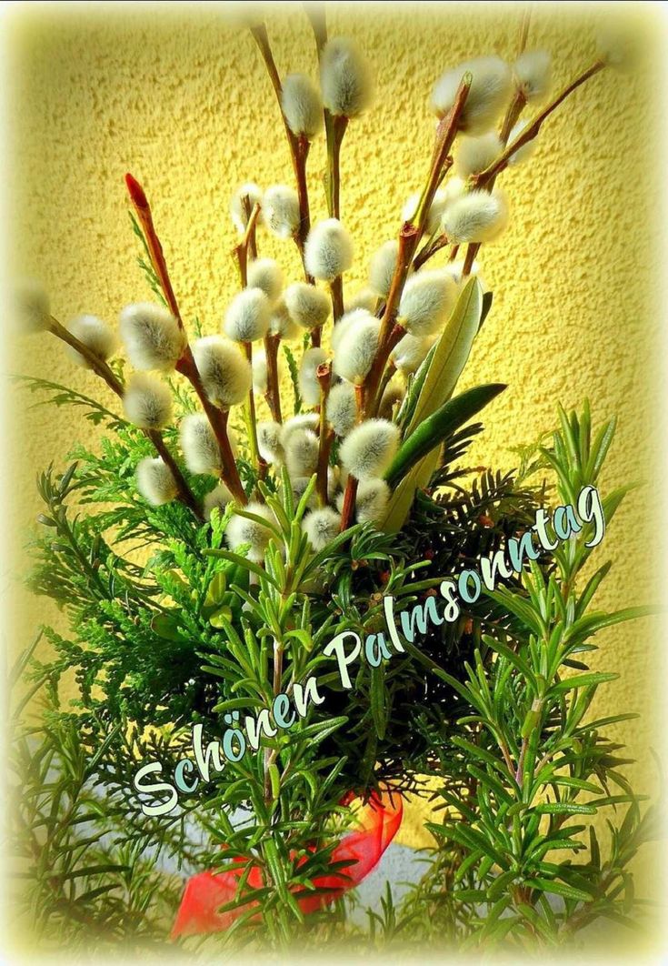 Pfingsten Bilder Kostenlos 95