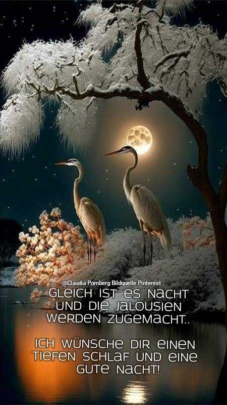 Schönen Abend Bilder 105
