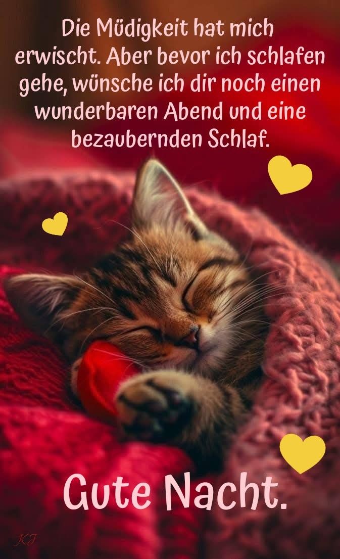 Schönen Abend Bilder 146