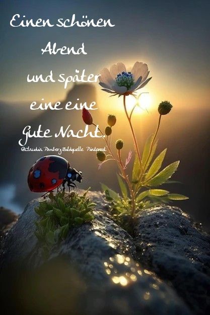 Schönen Abend Bilder 85