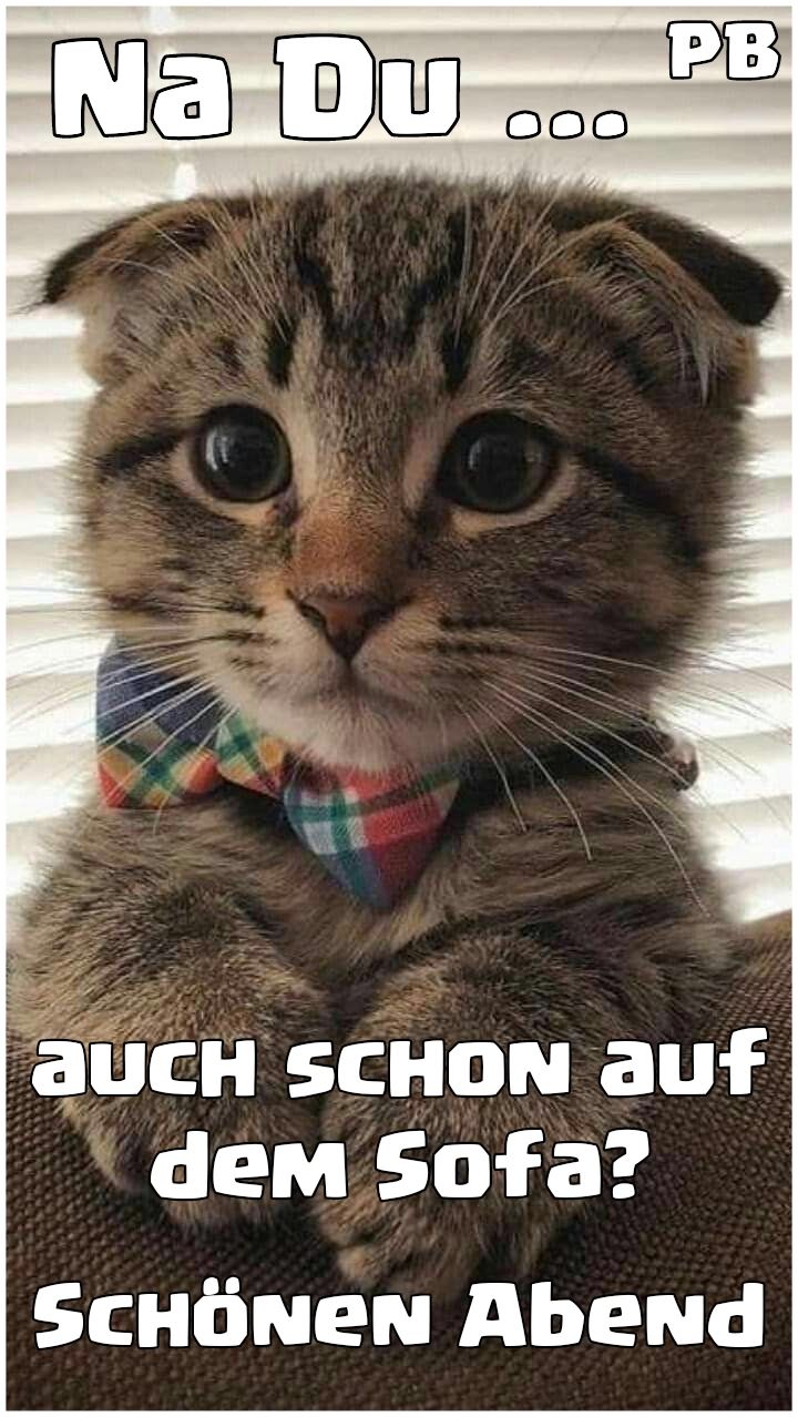 Schönen Abend Bilder 99