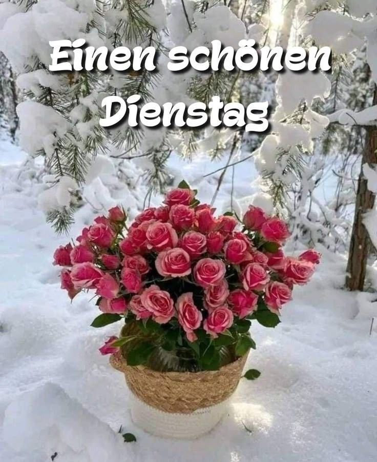 Schönen Dienstag Bilder 129