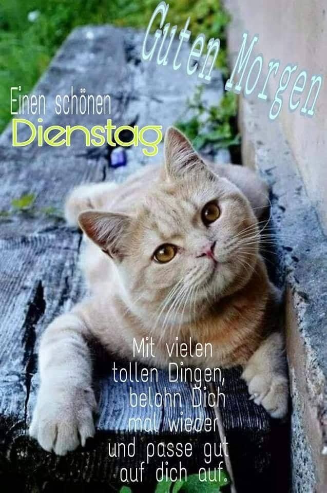 Schönen Dienstag Bilder 13