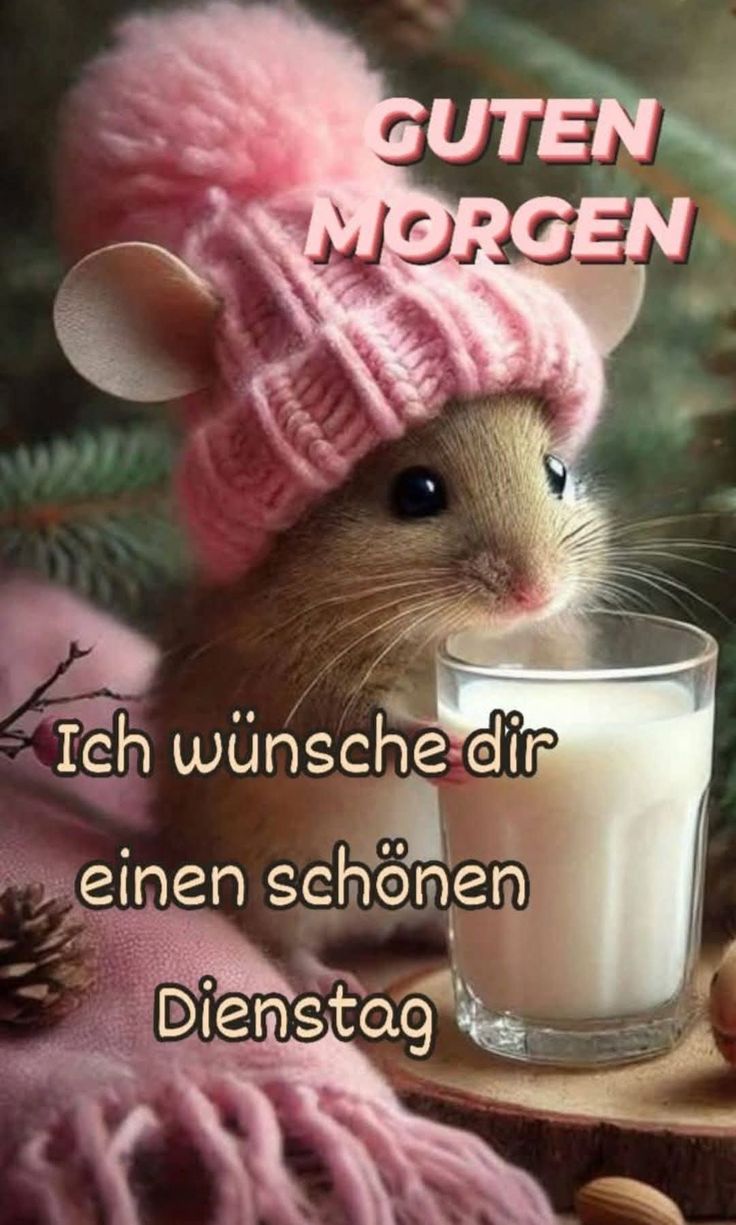 Schönen Dienstag Bilder 140
