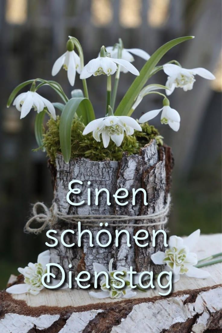 Schönen Dienstag Bilder 145