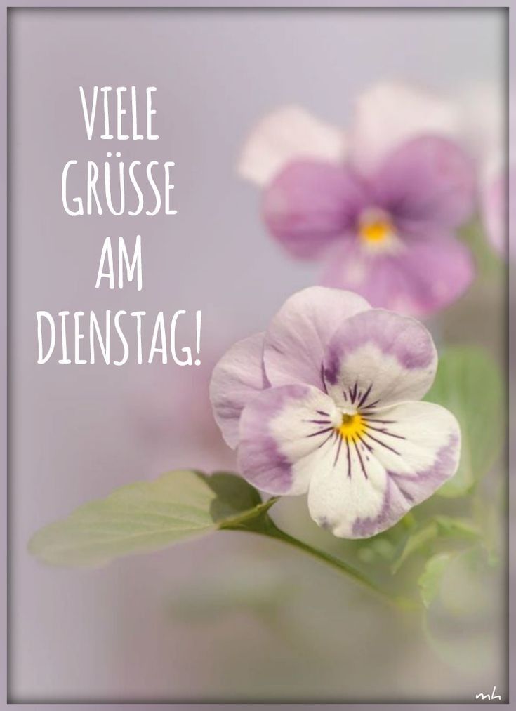Schönen Dienstag Bilder 146