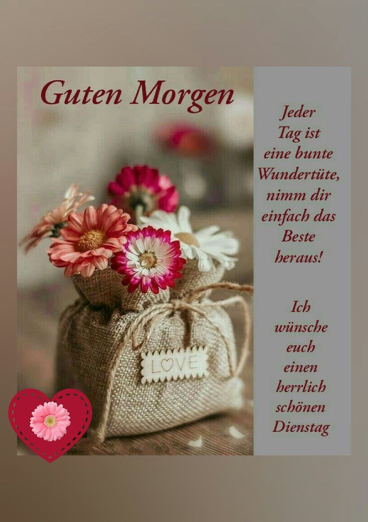 Schönen Dienstag Bilder 15