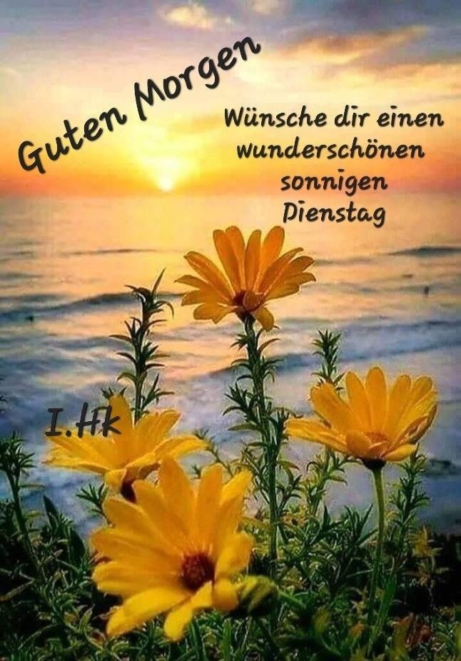 Schönen Dienstag Bilder 23