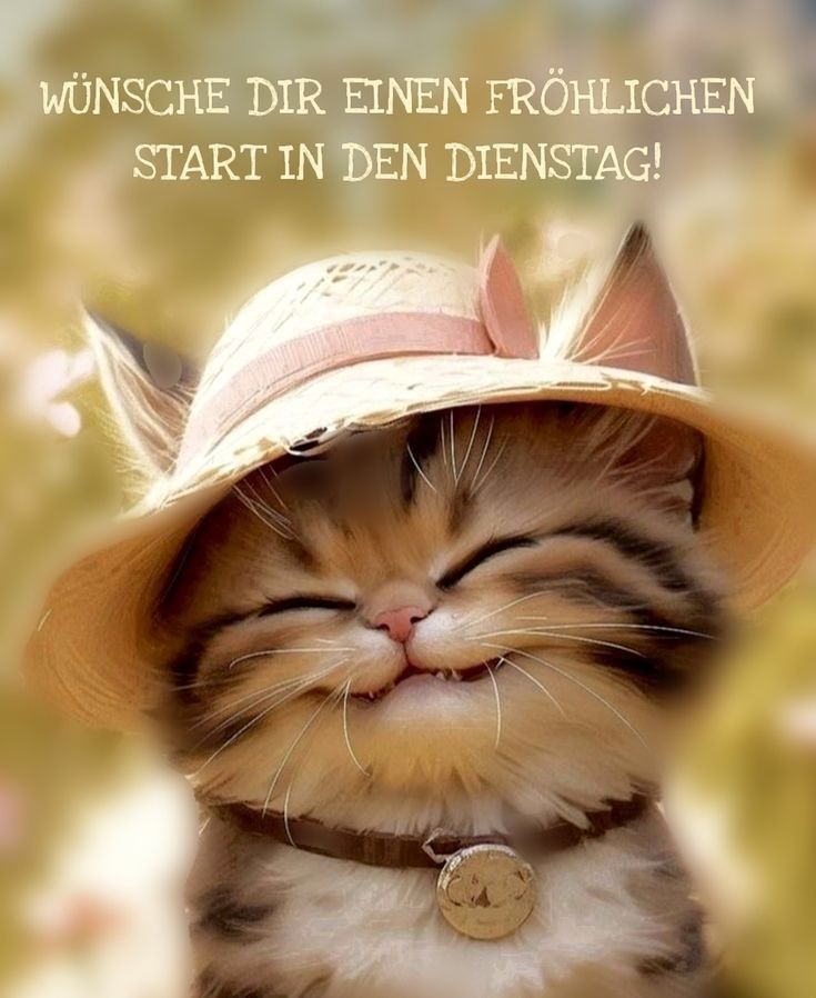 Schönen Dienstag Bilder 26