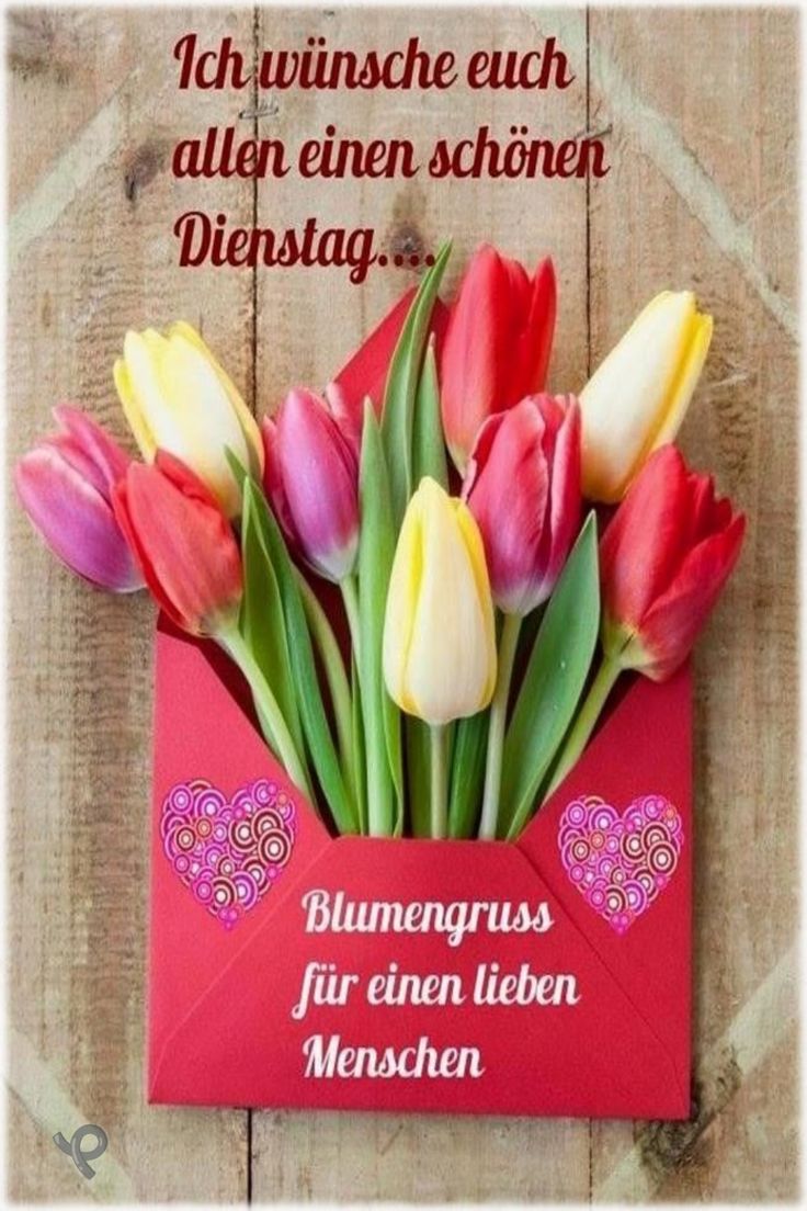 Schönen Dienstag Bilder 28