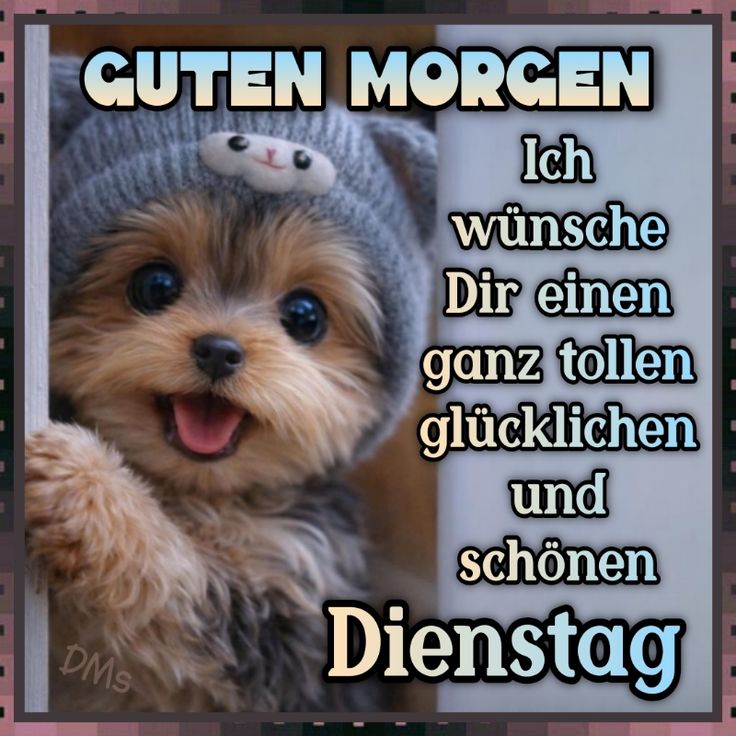 Schönen Dienstag Bilder 41