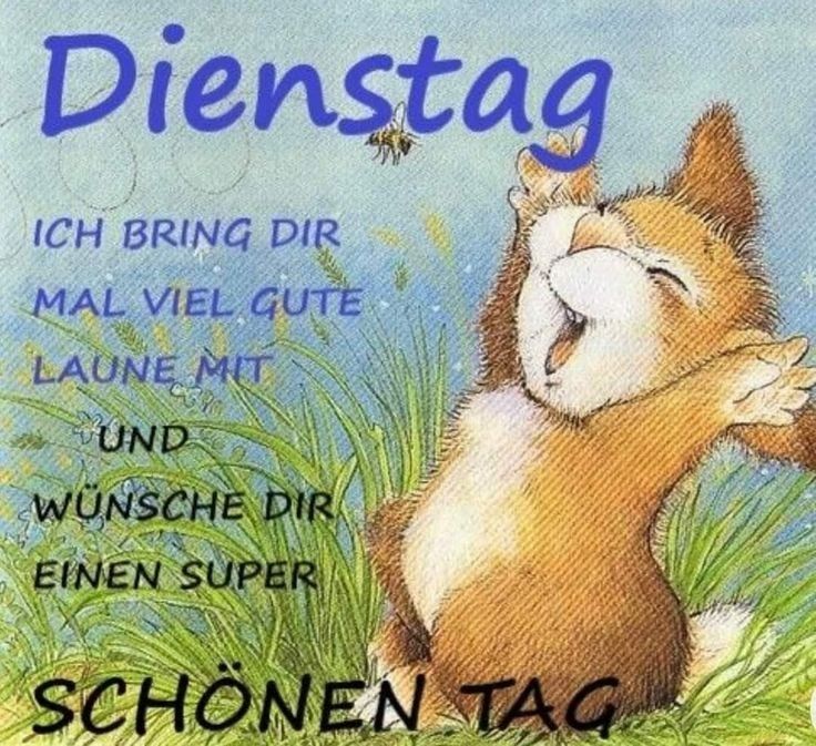 Schönen Dienstag Bilder 42