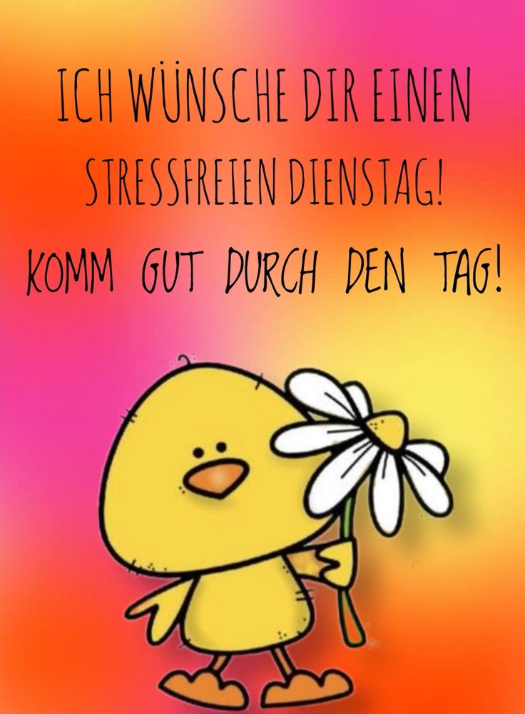 Schönen Dienstag Bilder 48