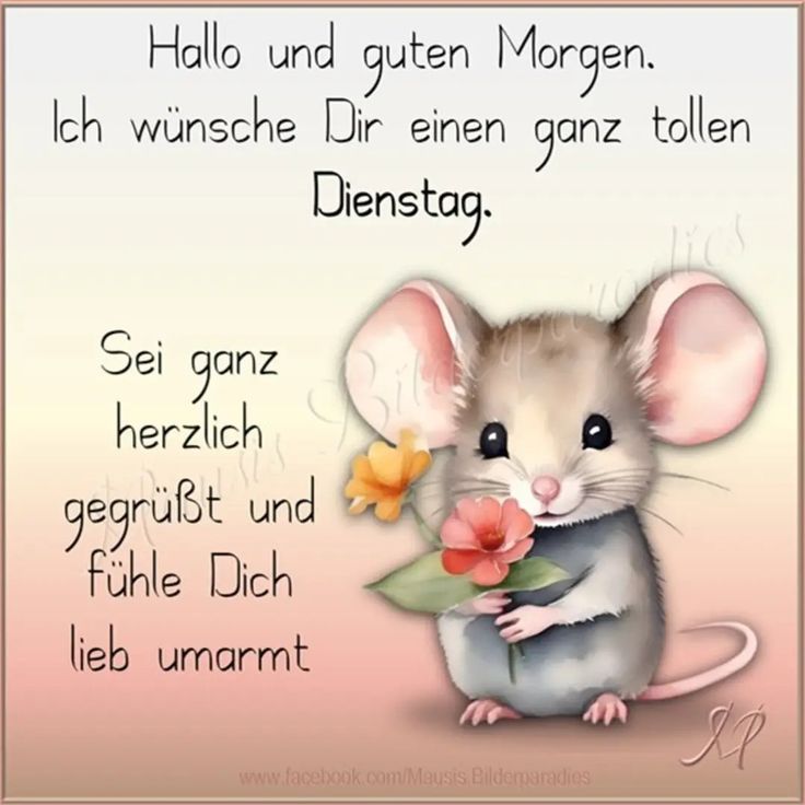 Schönen Dienstag Bilder 54