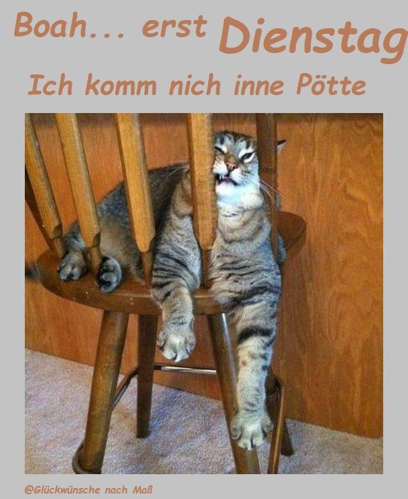 Schönen Dienstag Bilder 55