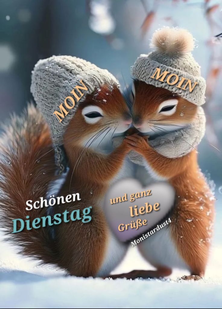Schönen Dienstag Bilder 59
