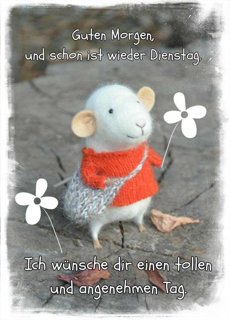 Schönen Dienstag Bilder 62