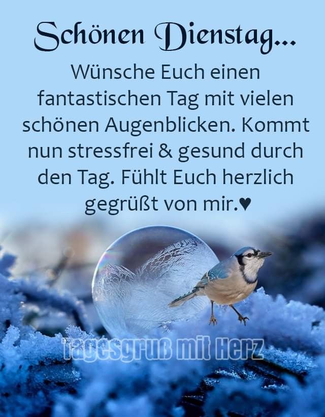 Schönen Dienstag Bilder 67