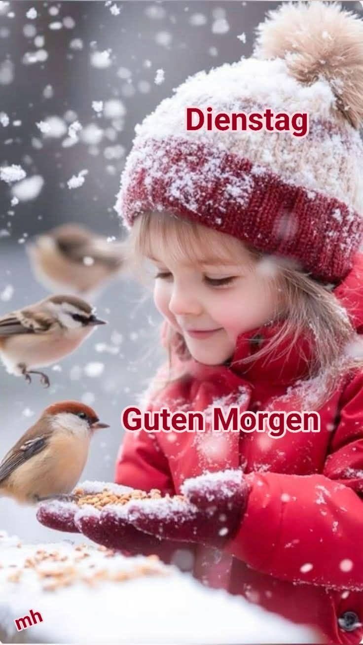 Schönen Dienstag Bilder 68