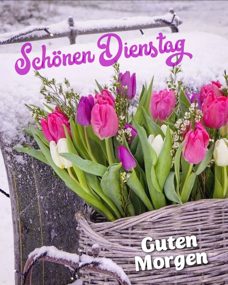 Schönen Dienstag Bilder 7
