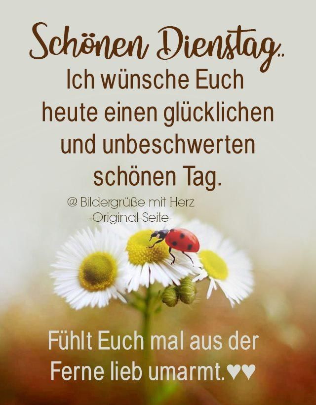 Schönen Dienstag Bilder 72
