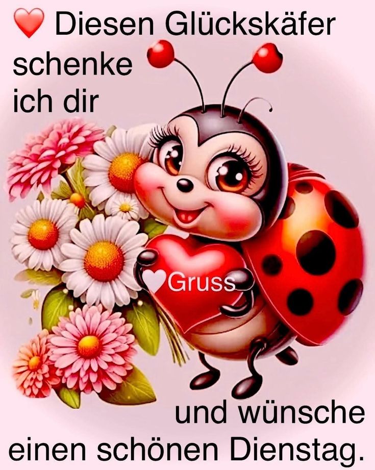 Schönen Dienstag Bilder 78