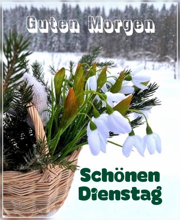 Schönen Dienstag Bilder 92