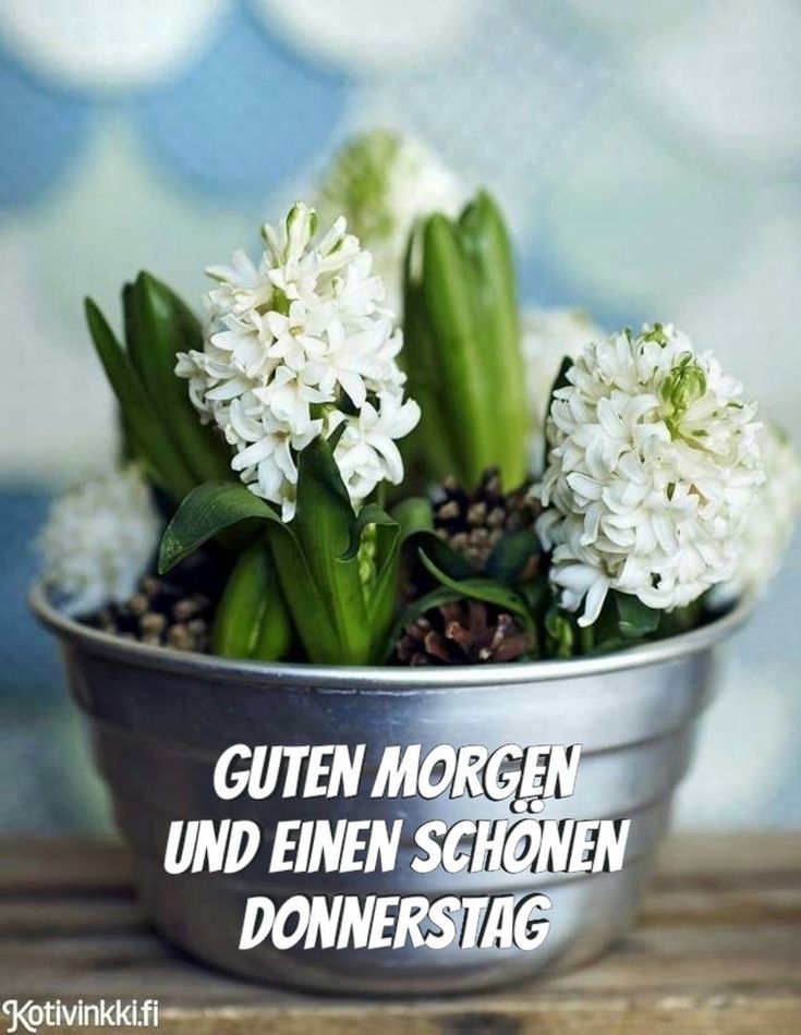 Schönen Donnerstag Bilder 101